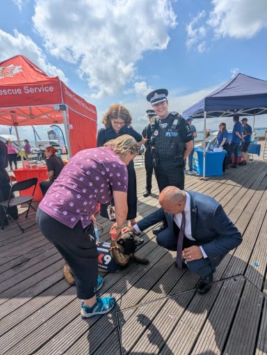 Meeting Mandy the Dog from the Team Baloo Fund alongside Policing Minister Dame Diana Johnson (July 2025) David stroking a dog alongside Policing Minister Dame Diana Johnson